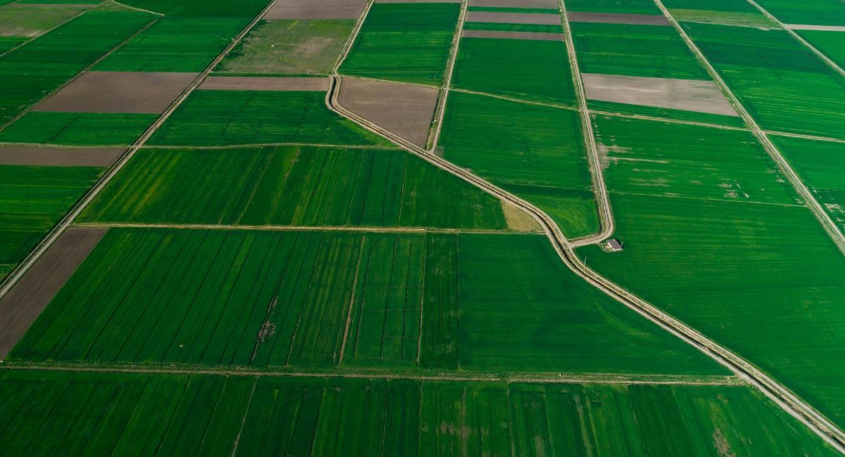 terrain agricole