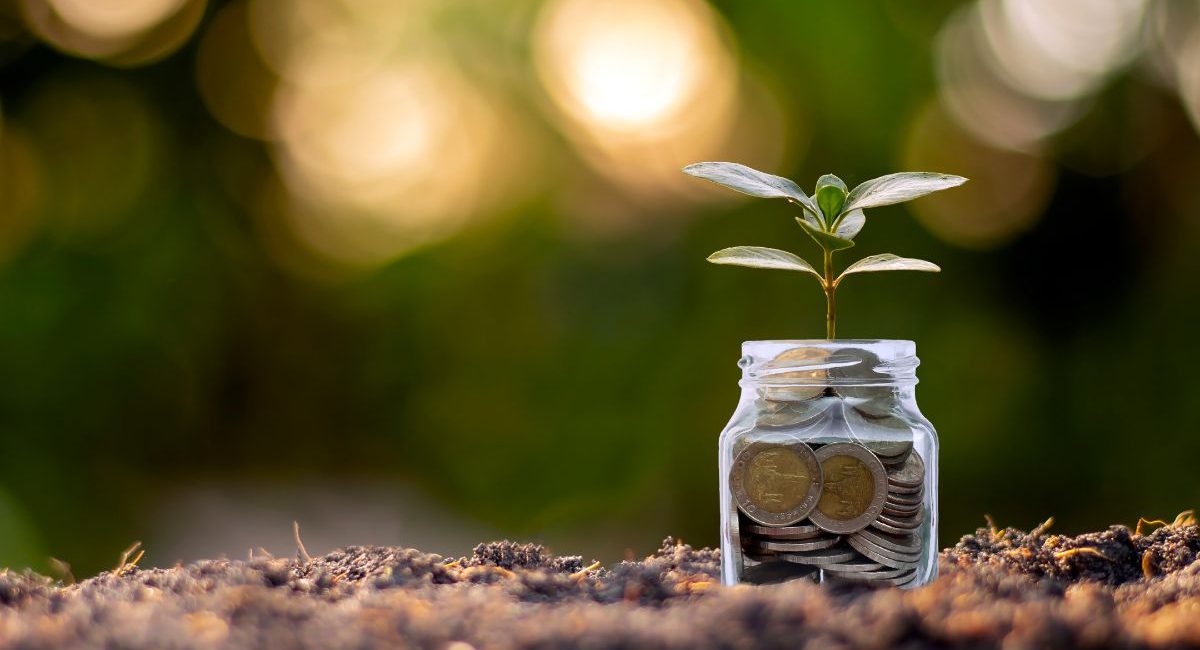 petit investissement qui rapporte