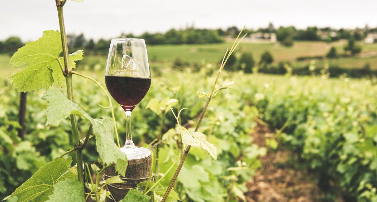 domaine viticole