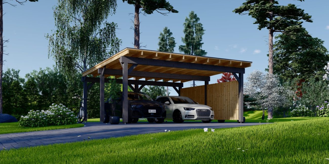carport pour 2 véhicule