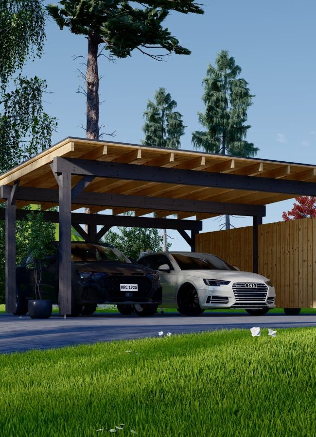 carport pour 2 véhicule