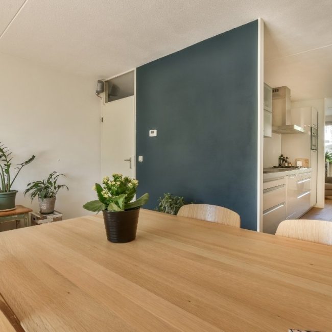 logement meublé