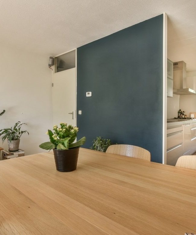 logement meublé